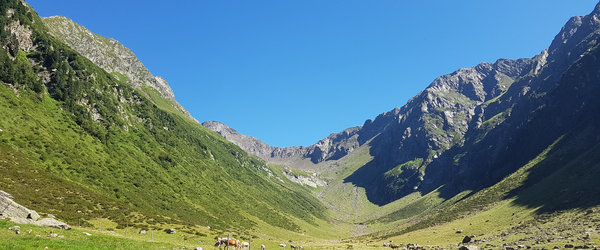 © 2025 Ferienwohnungen Volggerhof